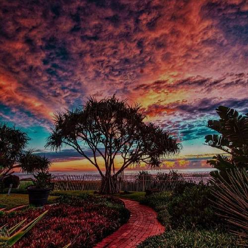 جاودانه شد نمره های تک کلاس ما برگه امتحان رسیده